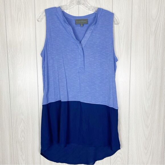 Anthropologie | Sunday In Brooklyn | Colorblock Sleeveless Tunic Blouse Size S - Picture 1 of 9